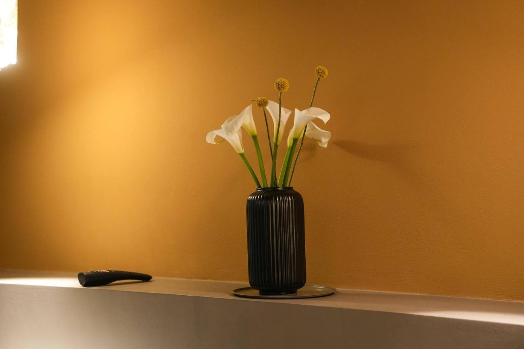 Sant'Eufemia 30 Bed & Breakfast Modena Luaran gambar